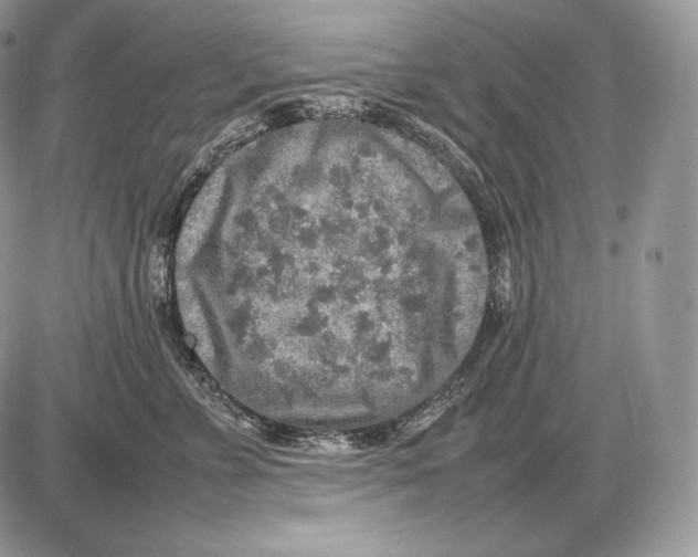 X0000085780715200704131829