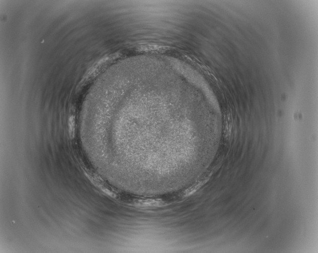 X0000085780716200704131829