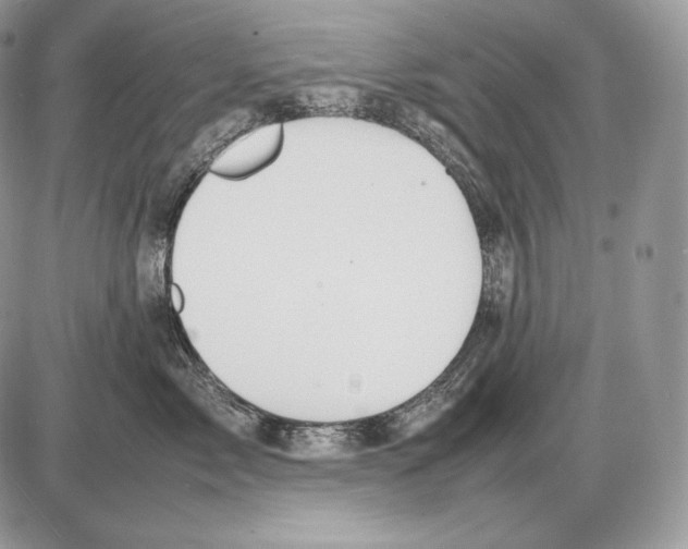 X0000085780717200704131829