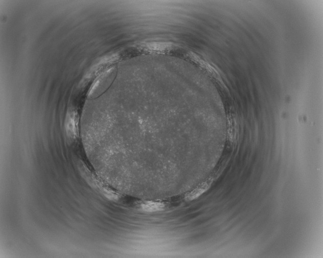 X0000085780718200704131829