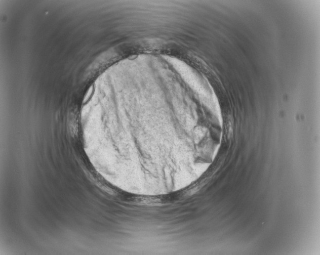 X0000085780719200704131829