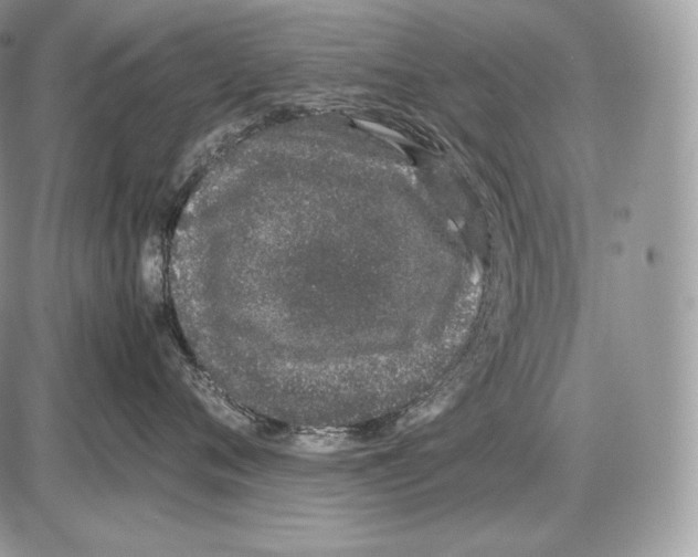 X0000085780720200704131829