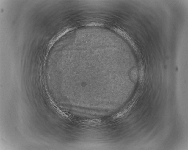 X0000085780721200704131828