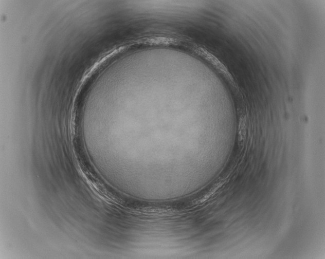 X0000085780722200704131828