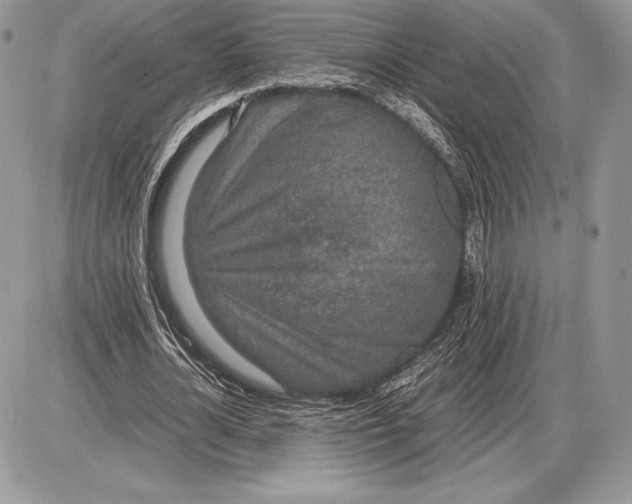 X0000085780724200704131828