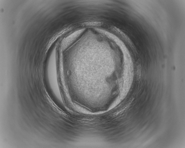 X0000085780725200704131828