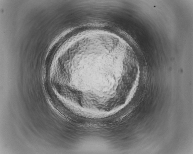 X0000085780726200704131828