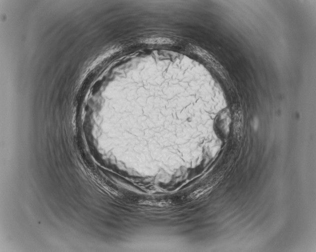 X0000085780727200704131828