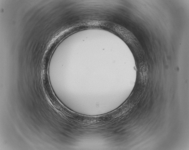 X0000085780728200704131828