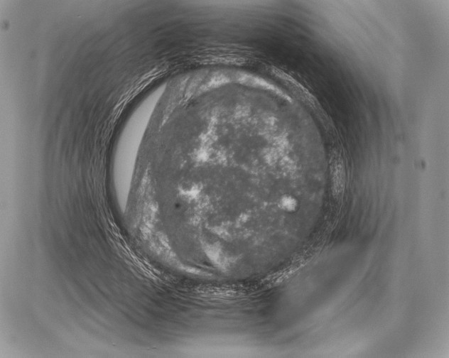 X0000085780729200704131828