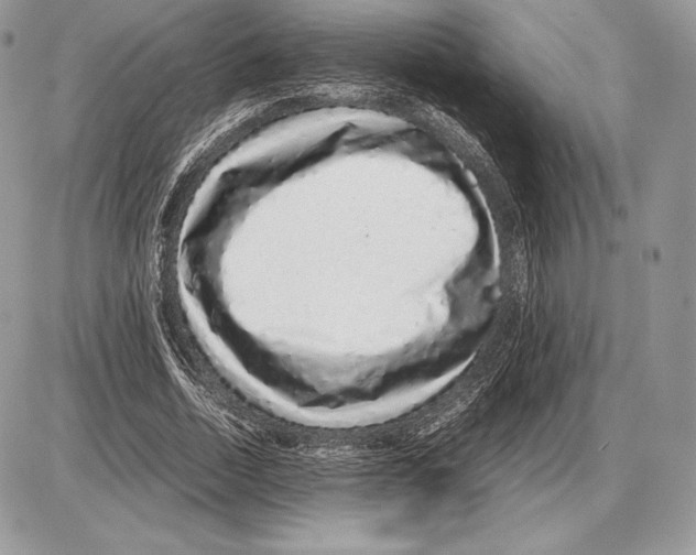 X0000085780730200704131828