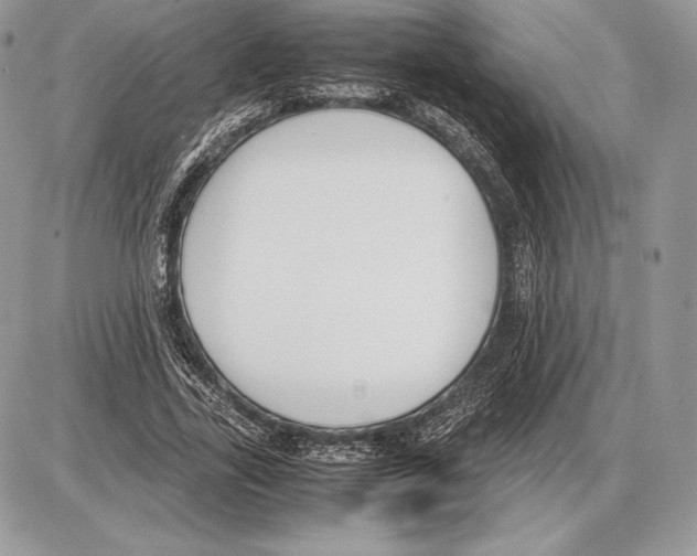 X0000085780731200704131828