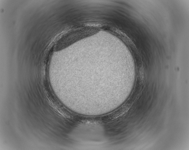 X0000085780733200704131828