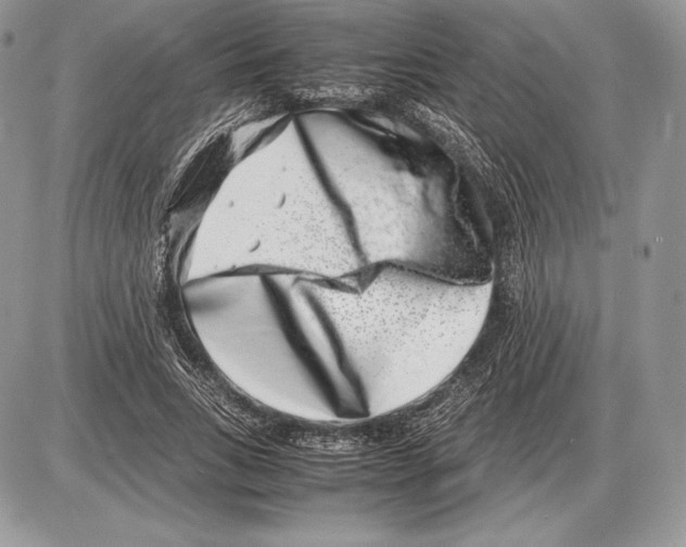 X0000085780735200704131828