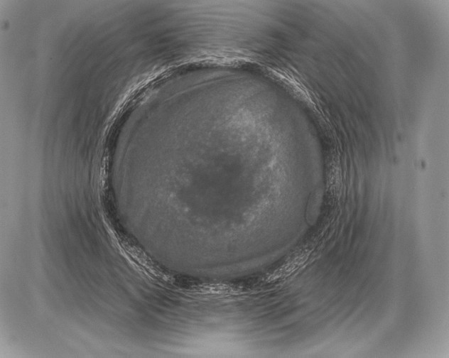 X0000085780736200704131828