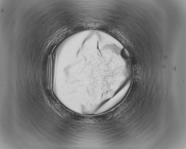 X0000085780738200704131828