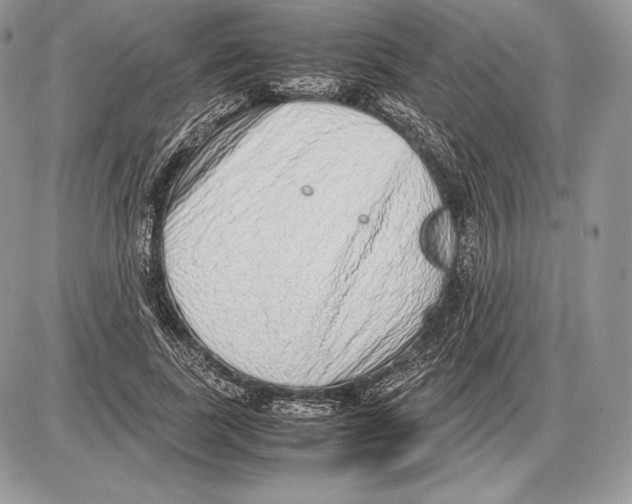 X0000085780739200704131828