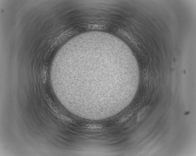 X0000085780741200704131828