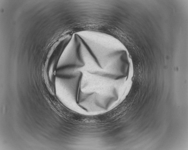 X0000085780742200704131828