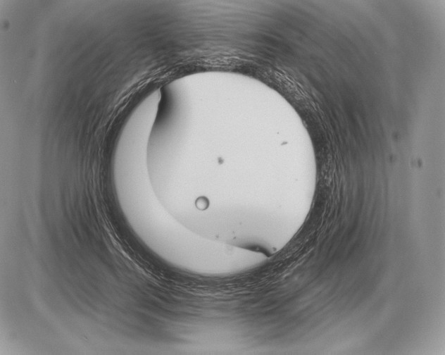 X0000085780744200704131828