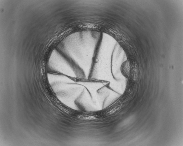 X0000085780747200704131828