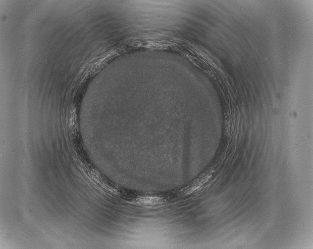 X0000085780748200704131828