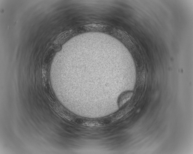 X0000085780749200704131828