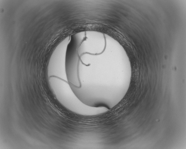 X0000085780750200704131828