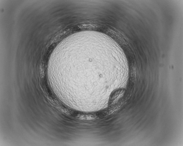 X0000085780751200704131828