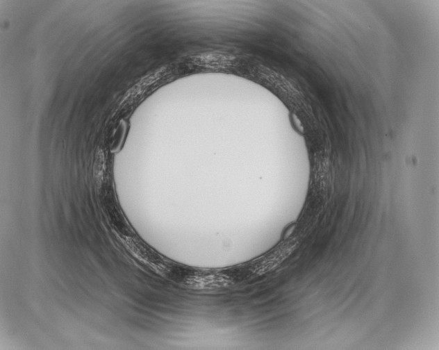 X0000085780752200704131828