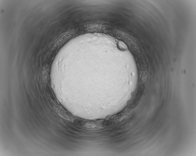 X0000085780753200704131828