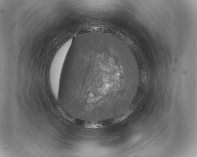 X0000085780754200704131829