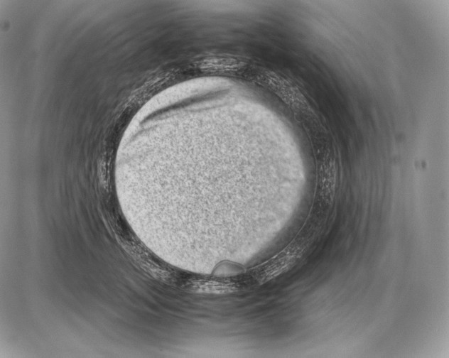 X0000085780755200704131829