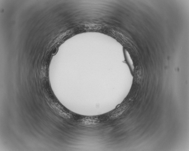 X0000085780756200704131829