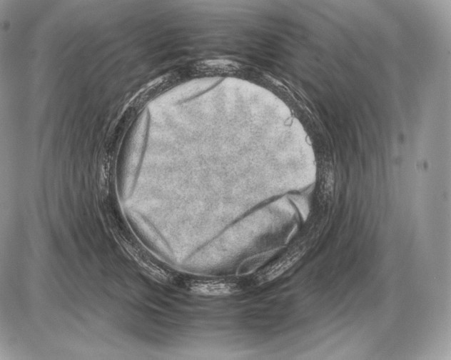 X0000085780759200704131829