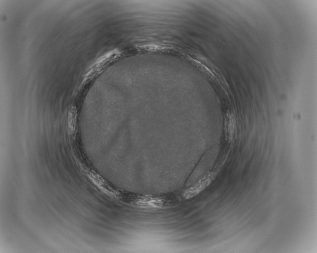 X0000085780760200704131829