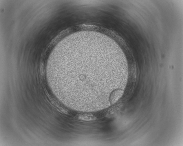 X0000085780761200704131829