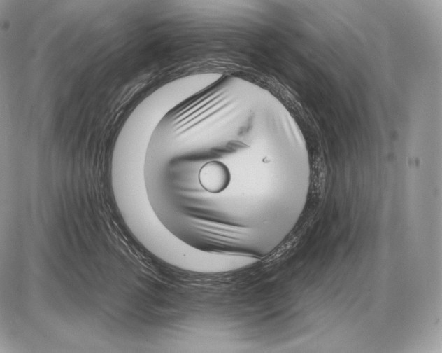 X0000085780762200704131829