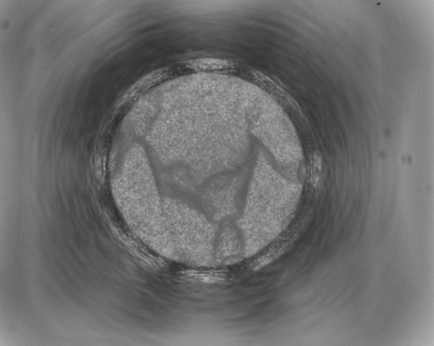 X0000085780763200704131829