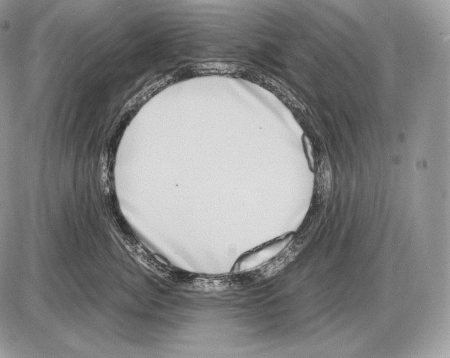 X0000085780764200704131829