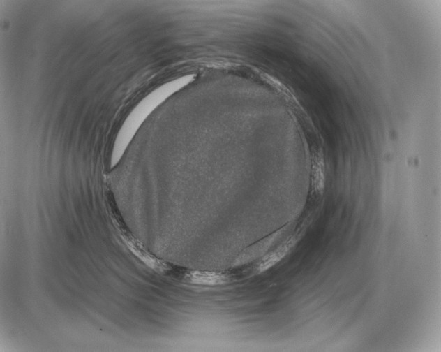 X0000085780766200704131829