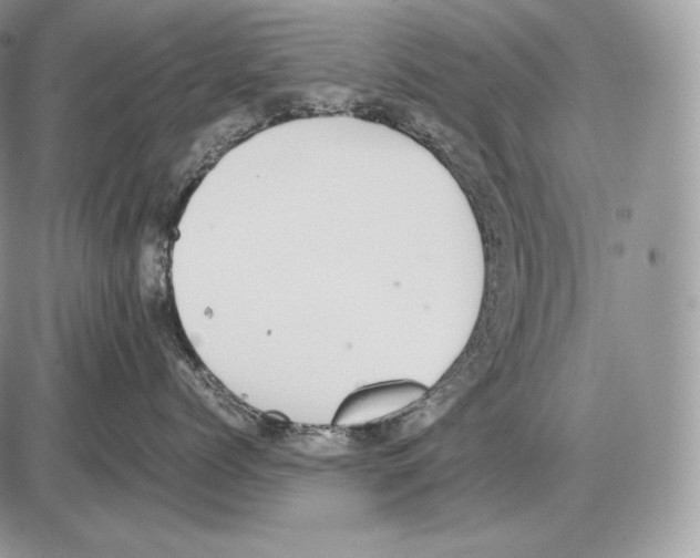 X0000085780768200704131829