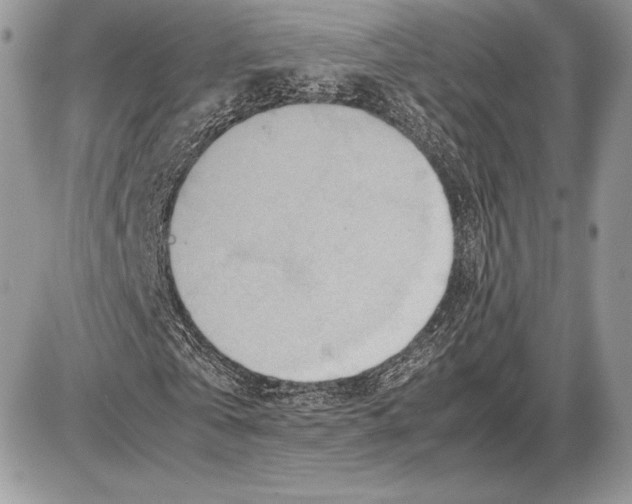 X0000085780769200704131828