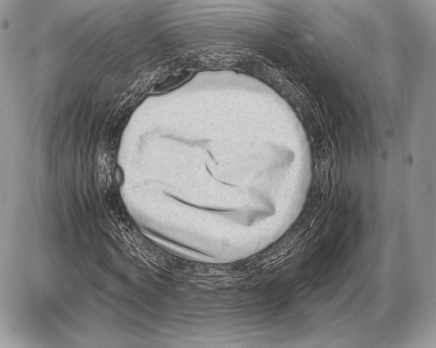 X0000085780772200704131828