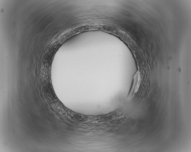 X0000085780773200704131828