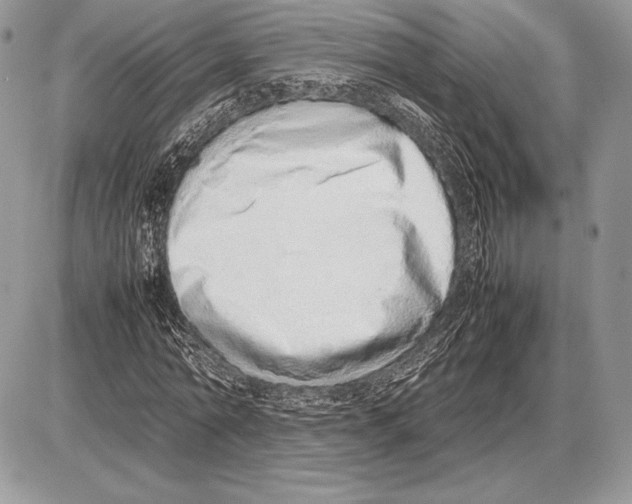 X0000085780774200704131828