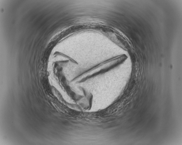 X0000085780775200704131828