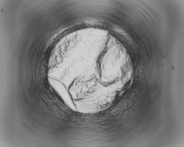 X0000085780776200704131828