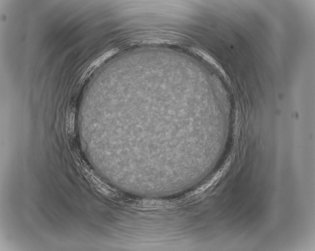 X0000085780777200704131828