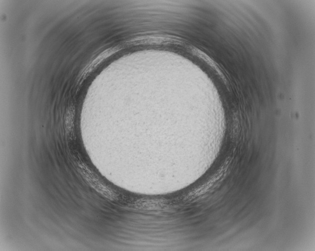 X0000085780778200704131828